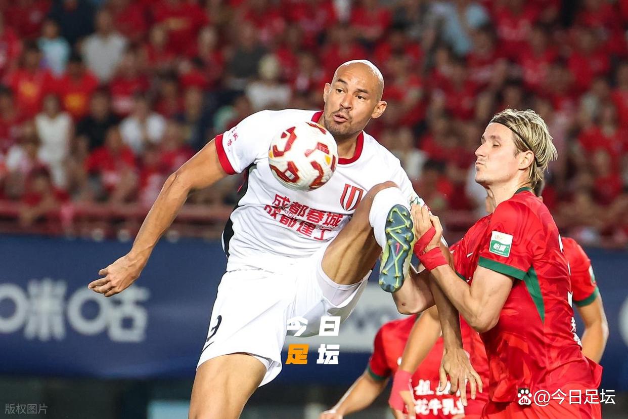 开云体育APP下载-申花客场憾负富力，寻求突破良机