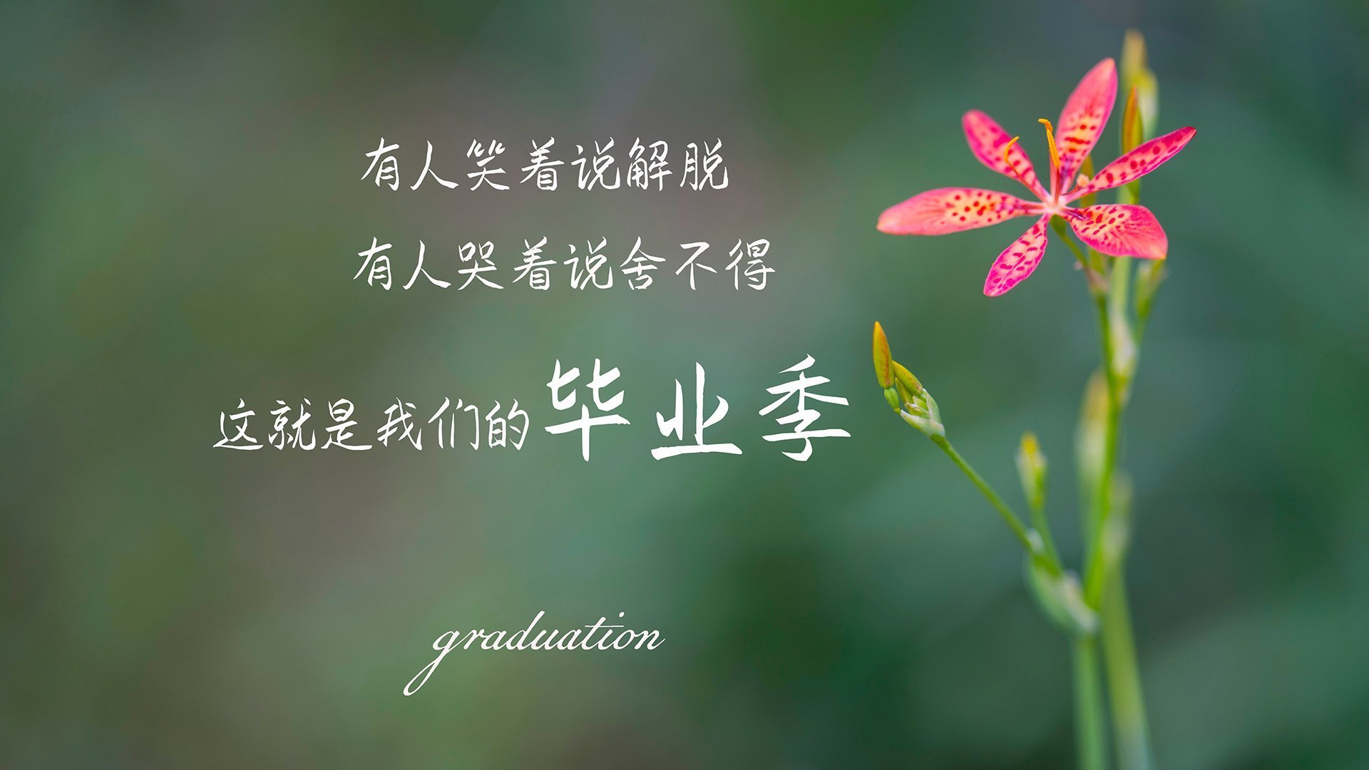 开云体育登录-跨越时空的统治力，当凯尔特人单节风暴席卷雄鹿，马克西在德甲争冠战接管比赛